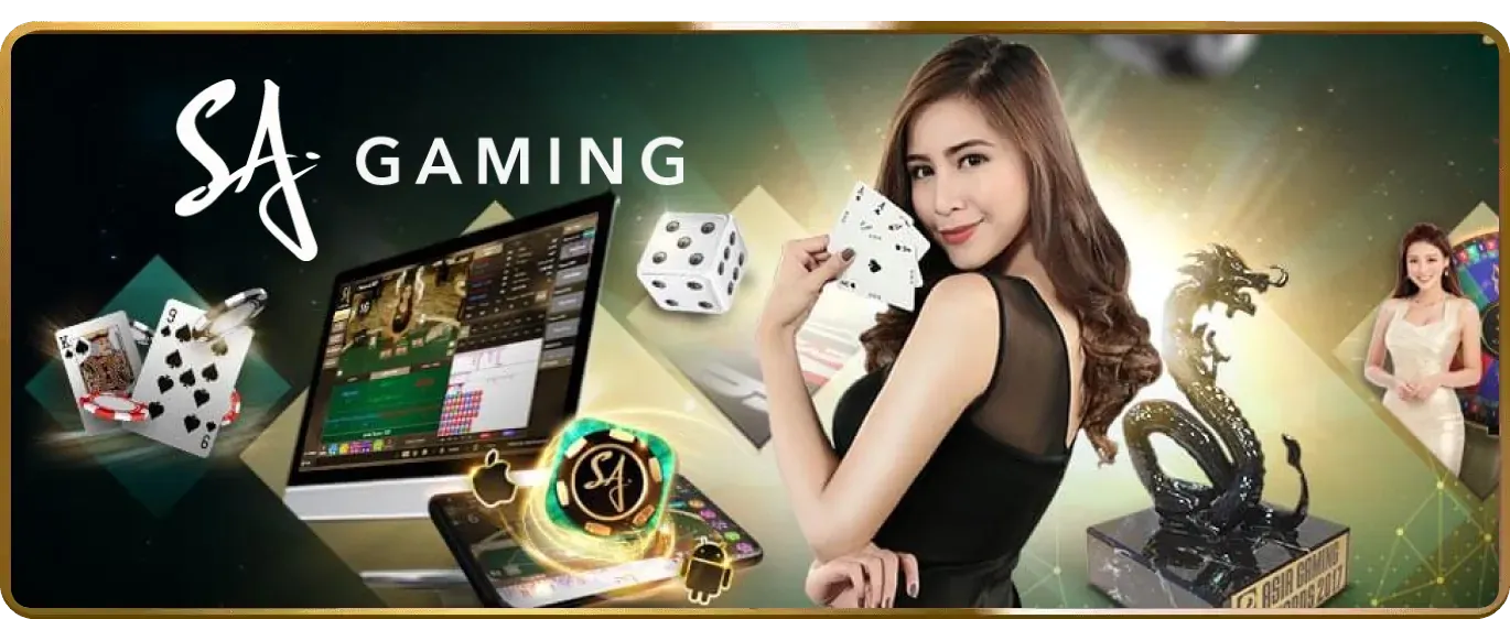 Sân đấu đá gà C3 sôi động