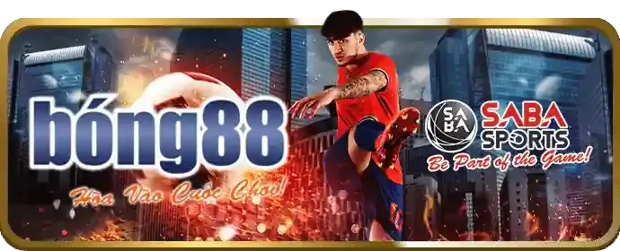 Nền tảng cá cược trực tuyến an toàn